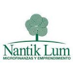 Logo Nantik